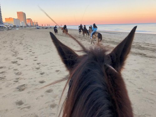 View from a horse's back, riding along a beach at sunset with other riders in the distance.