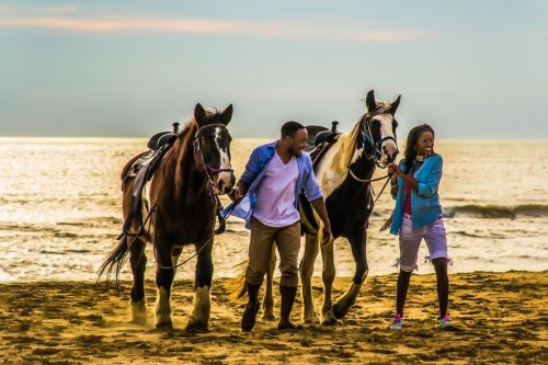 A man and woman walk two horses along a beach at sunset, with the ocean in the background.
