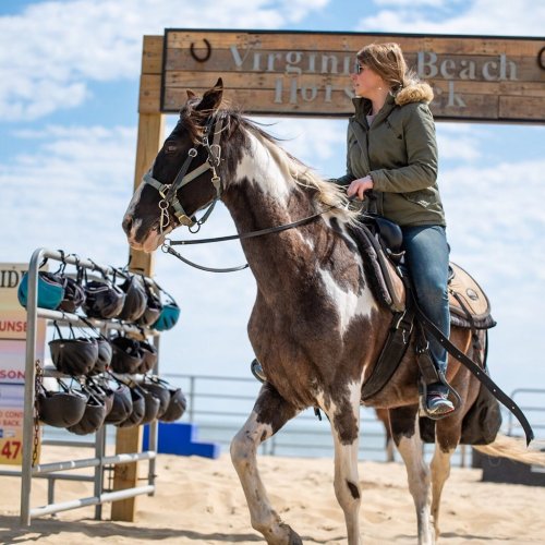 A woman rides a horse along the beach near a sign for Virginia Beach Horseback Riding. Helmets hang nearby.