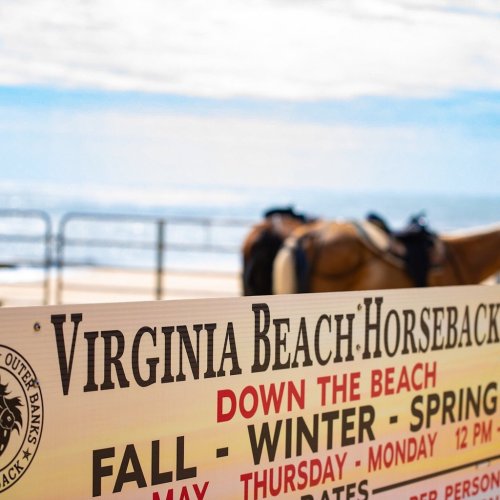 Sign for Virginia Beach Horseback riding with ocean view in the background, promoting seasonal rides.