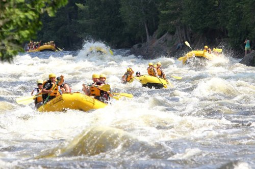 A group of people in yellow rafts navigating through turbulent whitewater rapids surrounded by trees.