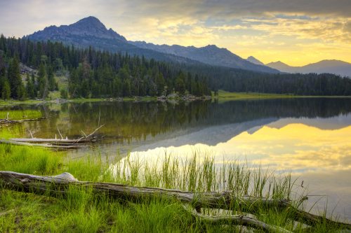 A serene lake reflects mountains and trees at sunset, with lush green grass and fallen logs in the foreground.