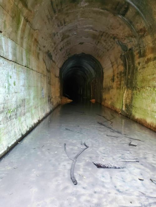 A dark, wet tunnel with water reflecting the walls, leading into an unknown depth.