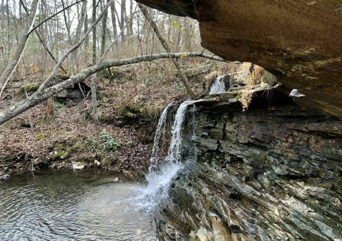 A small waterfall cascades over rocky terrain into a serene pool, surrounded by trees and autumn foliage.