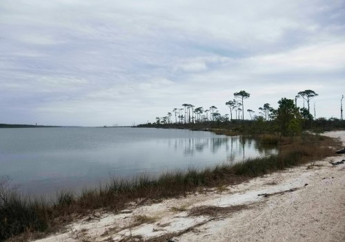 A calm lake surrounded by sandy shores and tall trees under a cloudy sky.