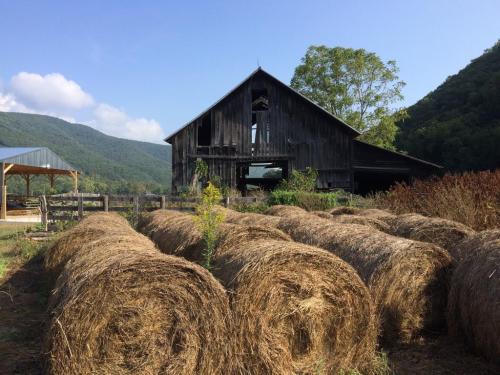 A rustic barn stands near round hay bales, surrounded by rolling hills and a clear blue sky.