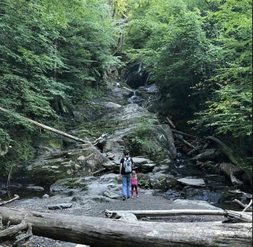 A person and a child stand by a rocky stream surrounded by lush green trees and a small waterfall in the background.
