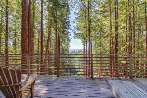 A wooden deck surrounded by tall trees, overlooking a serene forest landscape with distant hills.