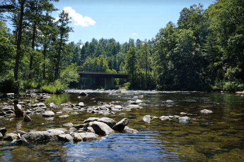 A serene river scene with rocks, trees, and a bridge in the background under a clear blue sky.