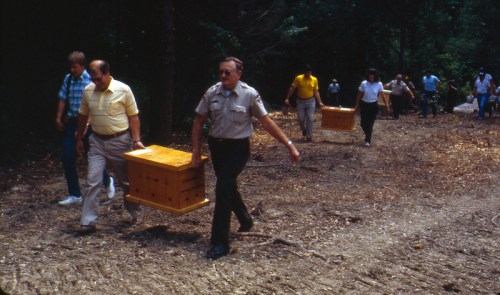A group of people walking through a wooded area, carrying wooden boxes.