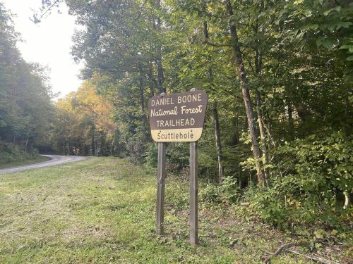 Sign for Scuttlehole Trailhead in Daniel Boone National Forest, surrounded by trees and a winding road.