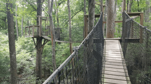 A wooden suspension bridge connects treehouses in a lush green forest.