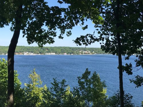 A serene view of a lake framed by trees, with a distant shoreline and clear blue sky.