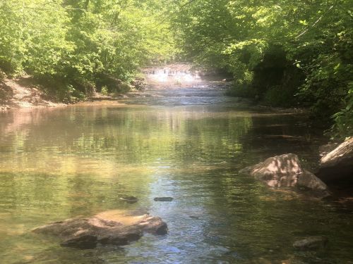 A serene creek flows through a lush green landscape, with sunlight reflecting off the water and rocks.
