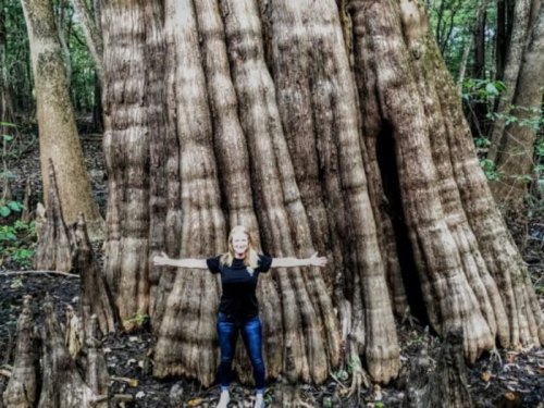 A person stands with arms outstretched in front of a large, textured tree trunk in a forested area.