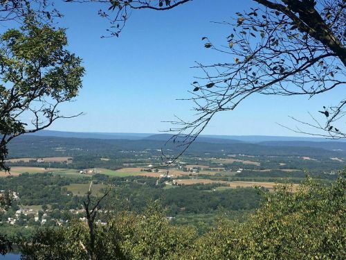 A scenic view of rolling hills and fields under a clear blue sky, framed by tree branches in the foreground.