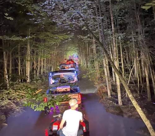 A line of off-road vehicles driving through a dark, wooded area illuminated by colorful lights.