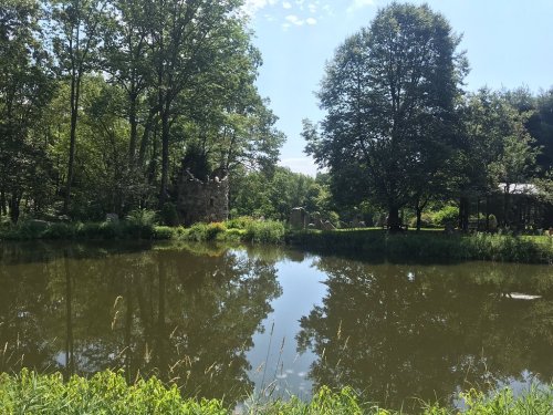 A serene pond surrounded by lush greenery and trees, reflecting the blue sky and distant stone ruins.