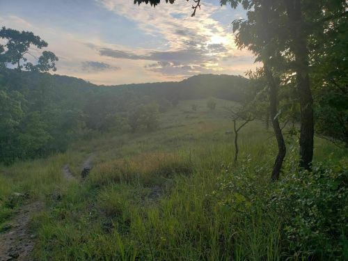 A serene landscape featuring a winding path through tall grass, framed by trees under a colorful sunset sky.