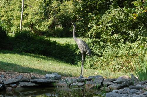 A tall, metallic crane sculpture stands beside a pond, surrounded by lush greenery and rocks.