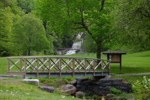 A wooden bridge crosses a stream, with lush green trees and a waterfall in the background.