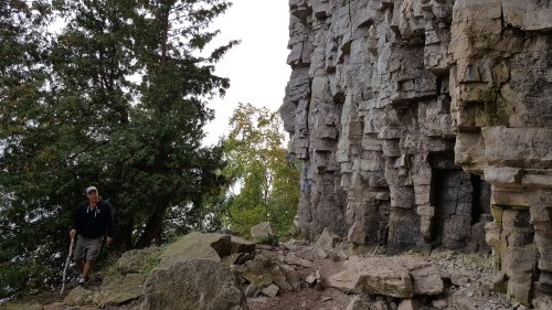 A person stands near a rocky cliff surrounded by trees, with a scenic view in the background.