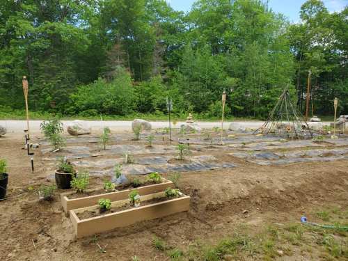 A garden plot with rows of plants, surrounded by rocks and trees, featuring garden stakes and a trellis in the background.