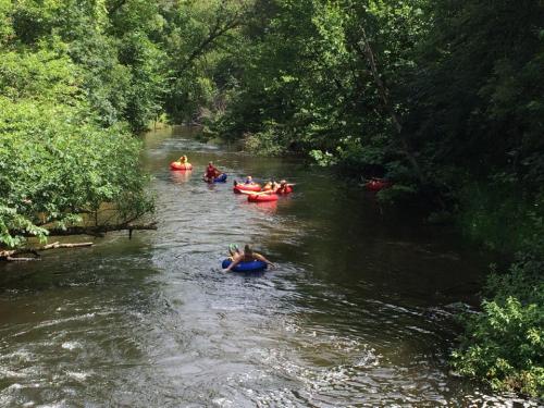 A group of people floating on inner tubes down a lush, green river on a sunny day.