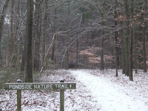 A snowy path leads into a forest, marked by a sign that reads "Pondside Nature Trail." Trees surround the trail.