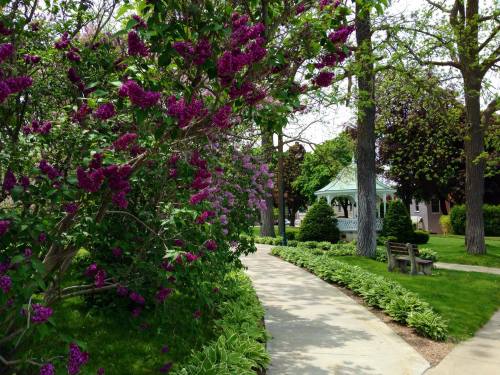 A serene park path lined with purple flowers, leading to a gazebo surrounded by lush greenery and trees.