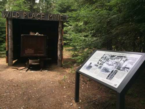 A wooden structure labeled "Wild Place Mine" with a historical information sign nearby, surrounded by trees.