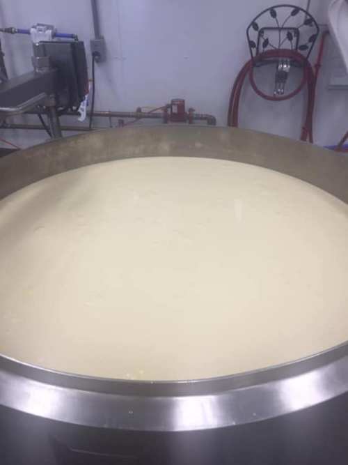 A large stainless steel vat filled with a smooth, creamy liquid, likely in a food processing facility.
