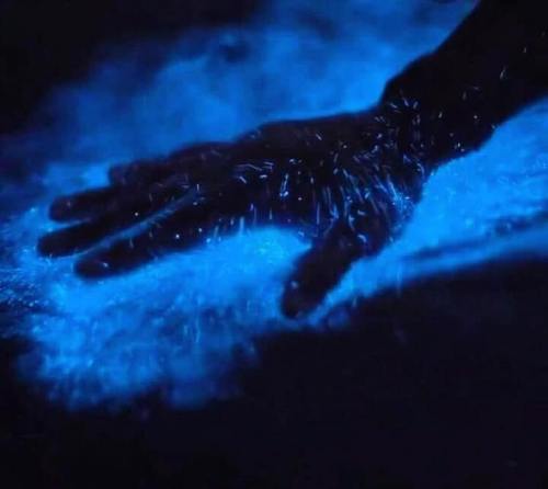 A hand resting on a surface, illuminated by a glowing blue light, creating a mystical, sparkling effect.