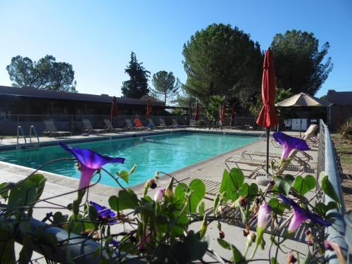 A serene pool area surrounded by greenery, with lounge chairs, umbrellas, and blooming flowers in the foreground.