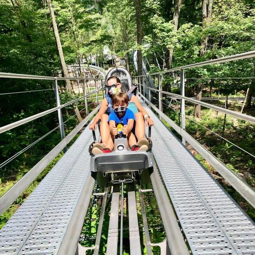 A woman and a child enjoy a ride on a mountain coaster through a lush green forest.