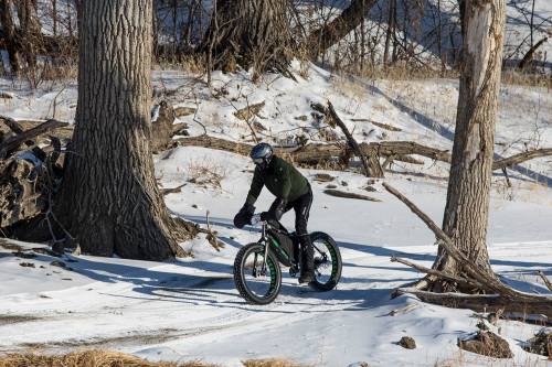 A person rides a fat bike on a snowy trail surrounded by trees and fallen branches.