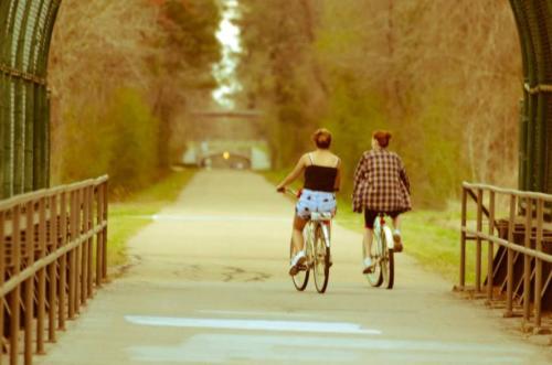 Two people ride bicycles down a tree-lined path, enjoying a sunny day.