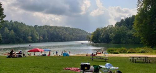 A serene lake scene with people swimming, picnic areas, and lush green trees under a partly cloudy sky.