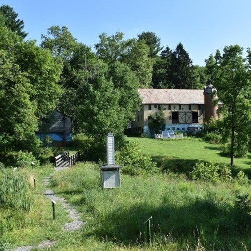 A scenic view of a house surrounded by trees and greenery, with a path leading through the lush landscape.