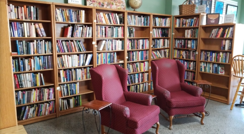 Cozy reading area with two red armchairs and bookshelves filled with various books in a bright room.