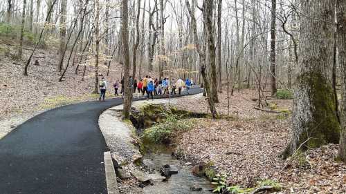 A group of people walking along a winding path in a wooded area with bare trees and a small stream nearby.