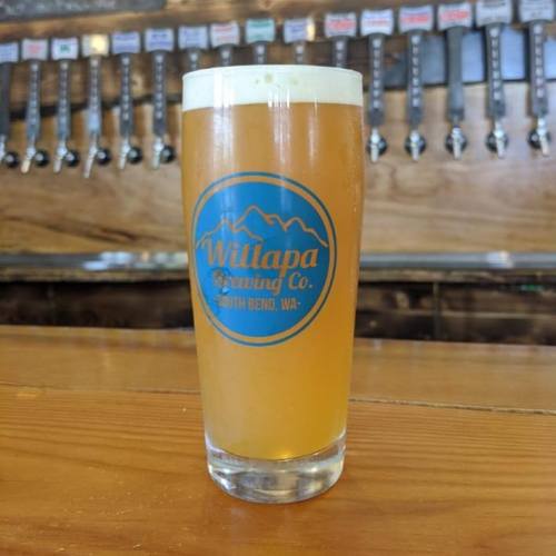 A glass of beer with a frothy head, featuring the Willapa Brewing Co. logo, set against a wooden bar with taps.