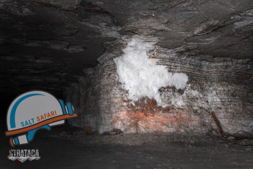 Interior of a salt mine showing white salt formations on the rock wall, with a logo for "Salt Safari" in the foreground.