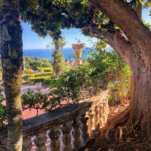 A scenic view of a coastal landscape framed by a large tree and ornate stone railing in a lush garden.