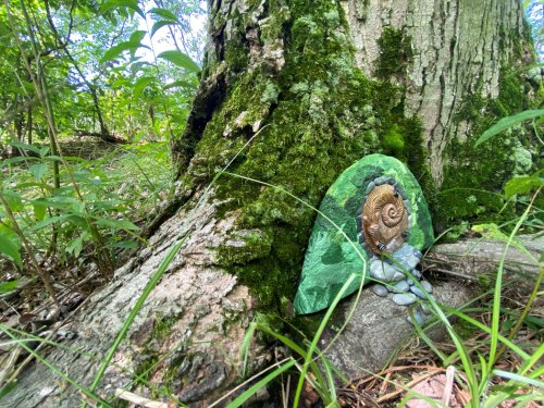 A whimsical snail sculpture nestled against a mossy tree trunk, surrounded by green grass and foliage.