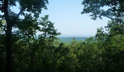 A scenic view of a lush green landscape framed by trees, with distant hills under a clear blue sky.