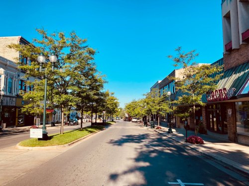 A sunny street lined with trees and shops, featuring clear blue skies and a peaceful atmosphere.