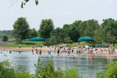 A busy beach scene with people swimming and playing in the water, surrounded by trees and green canopies.