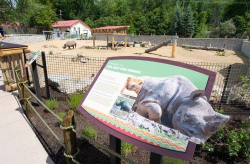 A rhino habitat with a sign about spa day for rhinos, featuring a sandy area and wooden structures in a zoo setting.