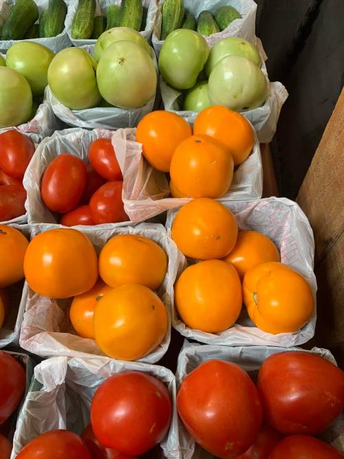 Baskets of vibrant tomatoes and cucumbers, featuring red and orange tomatoes alongside green and yellow vegetables.